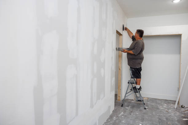 Best Crawl Space Mold Remediation  in Prairie Creek, AR
